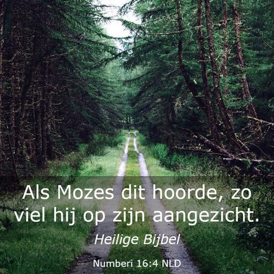 Picture 03 - Numberi 16:4 NLD - Als Mozes dit hoorde, zo viel hij op zijn - Bible Verse Picture