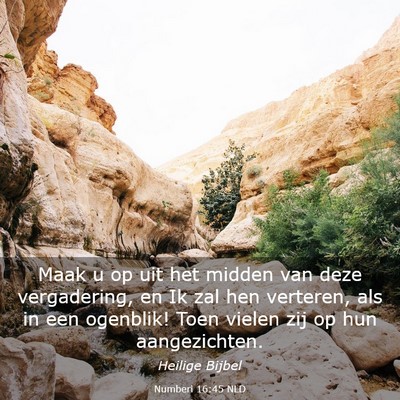 Picture 03 - Numberi 16:45 NLD - Maak u op uit het midden van deze vergadering, en - Bible Verse Picture