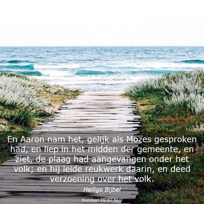 Picture 03 - Numberi 16:47 NLD - En Aaron nam het, gelijk als Mozes gesproken had, - Bible Verse Picture