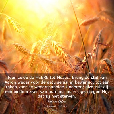 Picture 03 - Numberi 17:10 NLD - Toen zeide de HEERE tot Mozes: Breng de staf van - Bible Verse Picture