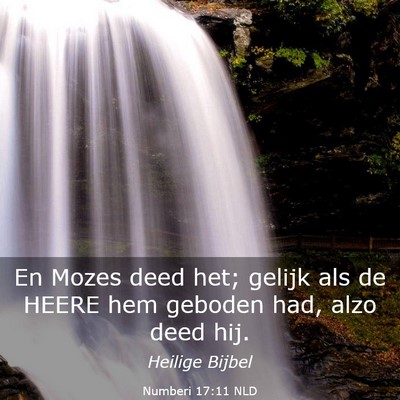 Picture 03 - Numberi 17:11 NLD - En Mozes deed het; gelijk als de HEERE hem - Bible Verse Picture