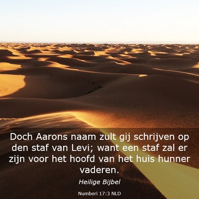 Picture 03 - Numberi 17:3 NLD - Doch Aarons naam zult gij schrijven op den staf - Bible Verse Picture