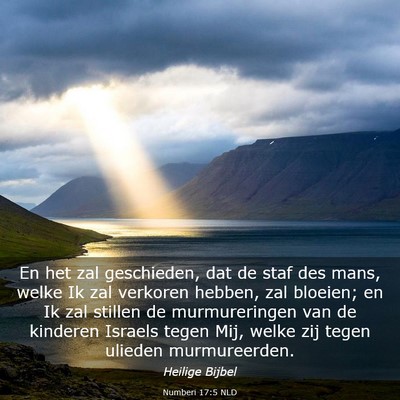 Picture 03 - Numberi 17:5 NLD - En het zal geschieden, dat de staf des mans, - Bible Verse Picture