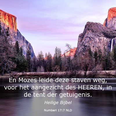 Picture 03 - Numberi 17:7 NLD - En Mozes leide deze staven weg, voor het - Bible Verse Picture