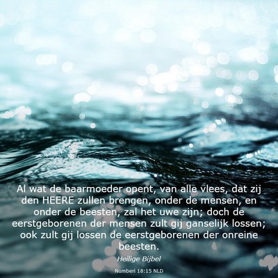 Picture 03 - Numberi 18:15 NLD - Al wat de baarmoeder opent, van alle vlees, dat - Bible Verse Picture