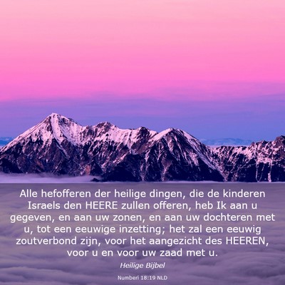 Picture 03 - Numberi 18:19 NLD - Alle hefofferen der heilige dingen, die de - Bible Verse Picture