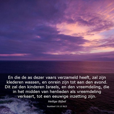Picture 03 - Numberi 19:10 NLD - En die de as dezer vaars verzameld heeft, zal - Bible Verse Picture
