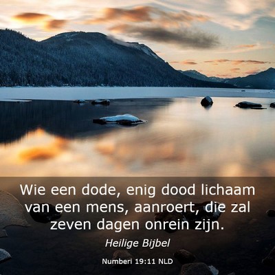 Picture 03 - Numberi 19:11 NLD - Wie een dode, enig dood lichaam van een mens, - Bible Verse Picture