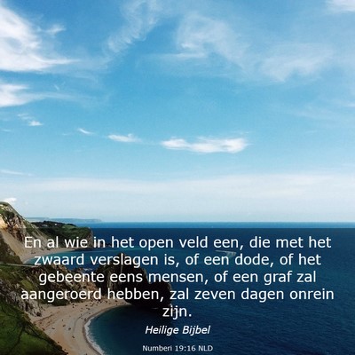 Picture 03 - Numberi 19:16 NLD - En al wie in het open veld een, die met het - Bible Verse Picture