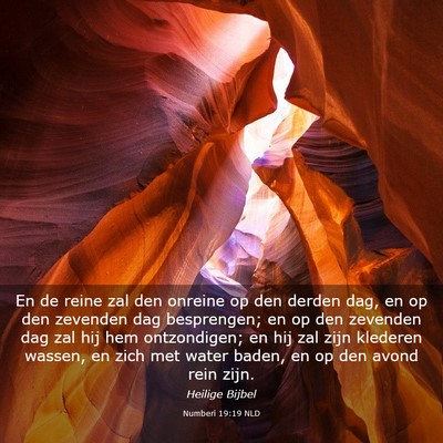 Picture 03 - Numberi 19:19 NLD - En de reine zal den onreine op den derden dag, en - Bible Verse Picture