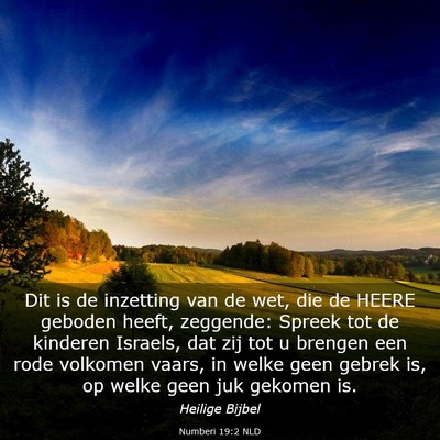 Picture 03 - Numberi 19:2 NLD - Dit is de inzetting van de wet, die de HEERE - Bible Verse Picture