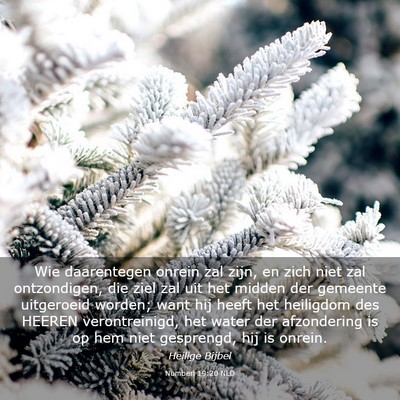 Picture 03 - Numberi 19:20 NLD - Wie daarentegen onrein zal zijn, en zich niet zal - Bible Verse Picture