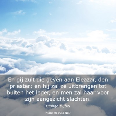 Picture 03 - Numberi 19:3 NLD - En gij zult die geven aan Eleazar, den priester; - Bible Verse Picture