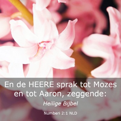 Picture 03 - Numberi 2:1 NLD - En de HEERE sprak tot Mozes en tot Aaron, - Bible Verse Picture