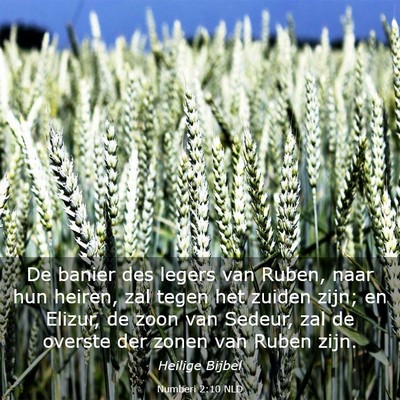 Picture 03 - Numberi 2:10 NLD - De banier des legers van Ruben, naar hun heiren, - Bible Verse Picture
