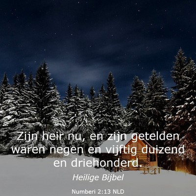 Picture 03 - Numberi 2:13 NLD - Zijn heir nu, en zijn getelden waren negen en - Bible Verse Picture
