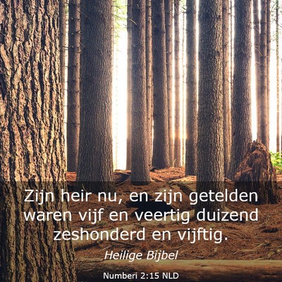 Picture 03 - Numberi 2:15 NLD - Zijn heir nu, en zijn getelden waren vijf en - Bible Verse Picture
