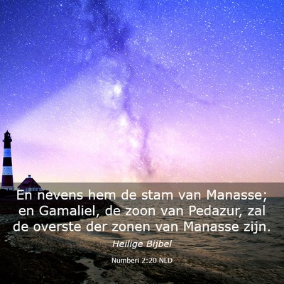 Picture 03 - Numberi 2:20 NLD - En nevens hem de stam van Manasse; en Gamaliel, - Bible Verse Picture