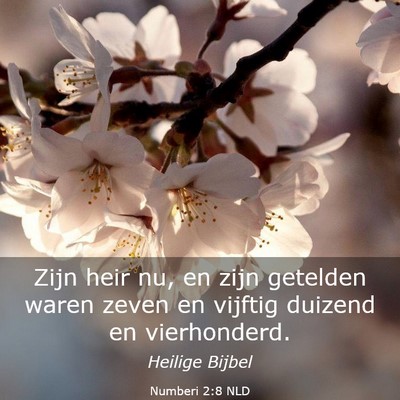 Picture 03 - Numberi 2:8 NLD - Zijn heir nu, en zijn getelden waren zeven en - Bible Verse Picture