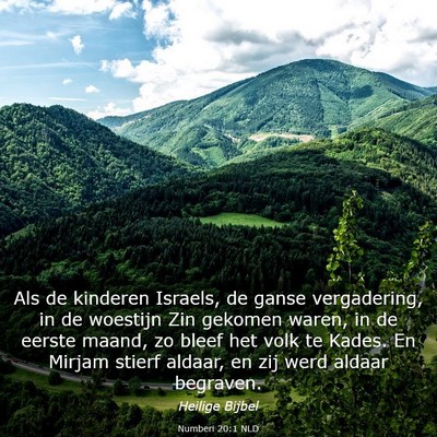 Picture 03 - Numberi 20:1 NLD - Als de kinderen Israels, de ganse vergadering, in - Bible Verse Picture
