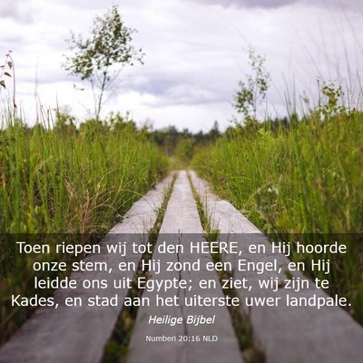 Picture 03 - Numberi 20:16 NLD - Toen riepen wij tot den HEERE, en Hij hoorde onze - Bible Verse Picture