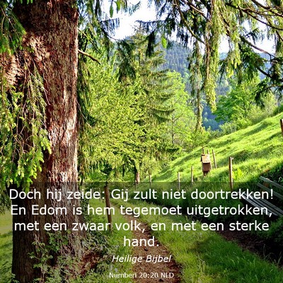 Picture 03 - Numberi 20:20 NLD - Doch hij zeide: Gij zult niet doortrekken! En - Bible Verse Picture