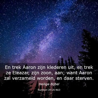 Picture 03 - Numberi 20:26 NLD - En trek Aaron zijn klederen uit, en trek ze - Bible Verse Picture