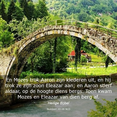 Picture 03 - Numberi 20:28 NLD - En Mozes trok Aaron zijn klederen uit, en hij - Bible Verse Picture