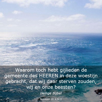 Picture 03 - Numberi 20:4 NLD - Waarom toch hebt gijlieden de gemeente des HEEREN - Bible Verse Picture