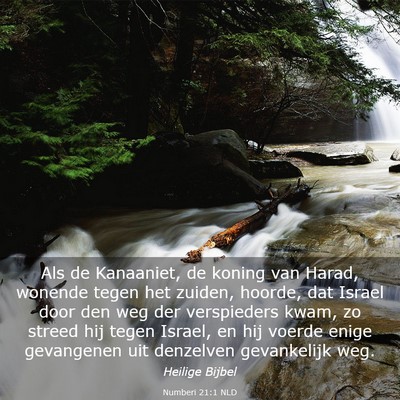 Picture 03 - Numberi 21:1 NLD - Als de Kanaaniet, de koning van Harad, wonende - Bible Verse Picture