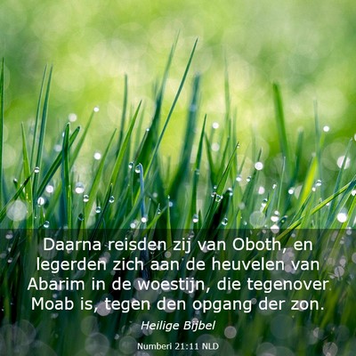 Picture 03 - Numberi 21:11 NLD - Daarna reisden zij van Oboth, en legerden zich - Bible Verse Picture