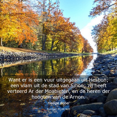 Picture 03 - Numberi 21:28 NLD - Want er is een vuur uitgegaan uit Hesbon; een - Bible Verse Picture