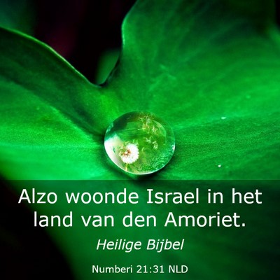 Picture 03 - Numberi 21:31 NLD - Alzo woonde Israel in het land van den - Bible Verse Picture