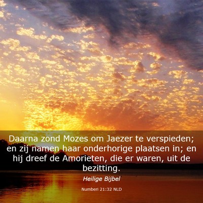 Picture 03 - Numberi 21:32 NLD - Daarna zond Mozes om Jaezer te verspieden; en zij - Bible Verse Picture