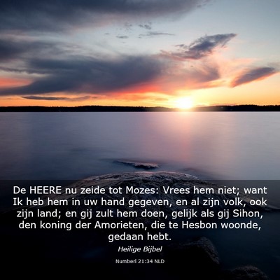 Picture 03 - Numberi 21:34 NLD - De HEERE nu zeide tot Mozes: Vrees hem niet; want - Bible Verse Picture