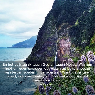 Picture 03 - Numberi 21:5 NLD - En het volk sprak tegen God en tegen Mozes: - Bible Verse Picture