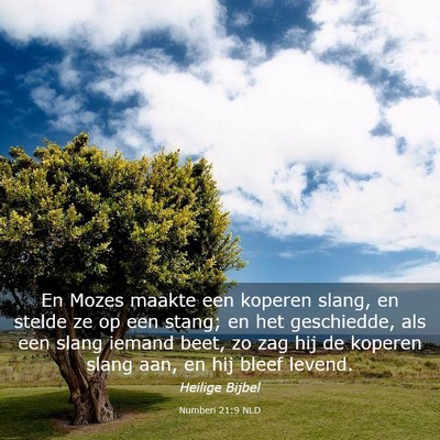 Picture 03 - Numberi 21:9 NLD - En Mozes maakte een koperen slang, en stelde ze - Bible Verse Picture
