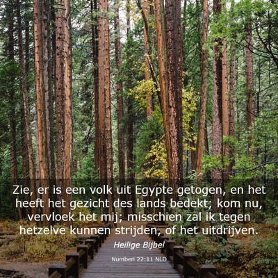 Picture 03 - Numberi 22:11 NLD - Zie, er is een volk uit Egypte getogen, en het - Bible Verse Picture