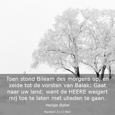 Picture 03 - Numberi 22:13 NLD - Toen stond Bileam des morgens op, en zeide tot de - Bible Verse Picture