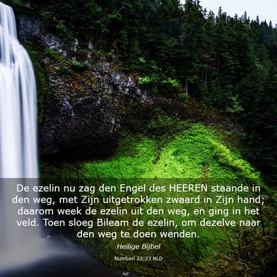 Picture 03 - Numberi 22:23 NLD - De ezelin nu zag den Engel des HEEREN staande in - Bible Verse Picture