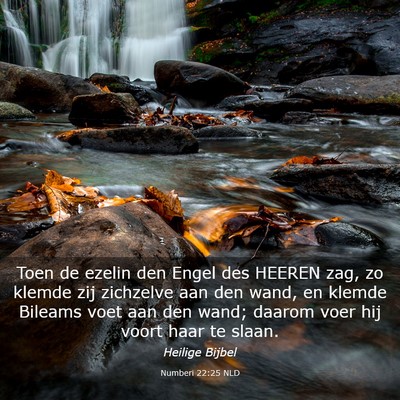 Picture 03 - Numberi 22:25 NLD - Toen de ezelin den Engel des HEEREN zag, zo - Bible Verse Picture