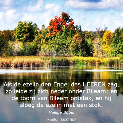 Picture 03 - Numberi 22:27 NLD - Als de ezelin den Engel des HEEREN zag, zo leide - Bible Verse Picture