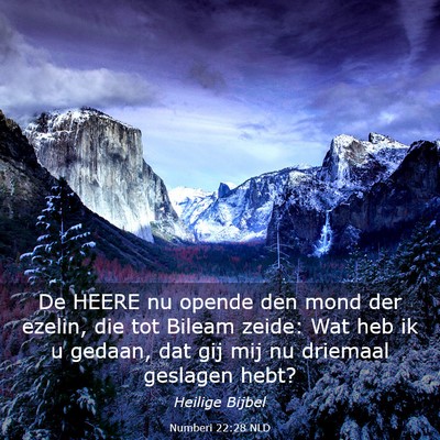 Picture 03 - Numberi 22:28 NLD - De HEERE nu opende den mond der ezelin, die tot - Bible Verse Picture