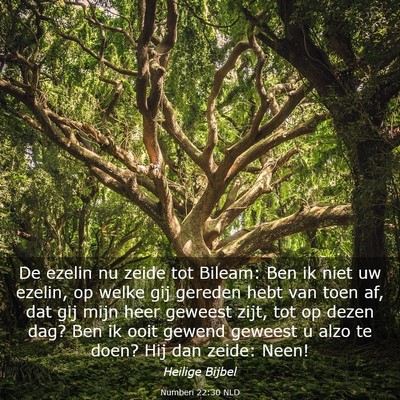Picture 03 - Numberi 22:30 NLD - De ezelin nu zeide tot Bileam: Ben ik niet uw - Bible Verse Picture