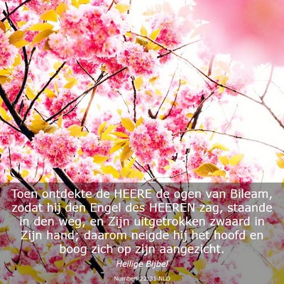 Picture 03 - Numberi 22:31 NLD - Toen ontdekte de HEERE de ogen van Bileam, zodat - Bible Verse Picture