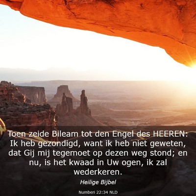 Picture 03 - Numberi 22:34 NLD - Toen zeide Bileam tot den Engel des HEEREN: Ik - Bible Verse Picture