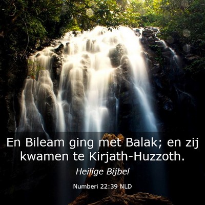 Picture 03 - Numberi 22:39 NLD - En Bileam ging met Balak; en zij kwamen te - Bible Verse Picture