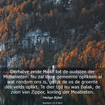 Picture 03 - Numberi 22:4 NLD - Derhalve zeide Moab tot de oudsten der - Bible Verse Picture