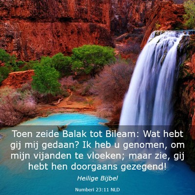 Picture 03 - Numberi 23:11 NLD - Toen zeide Balak tot Bileam: Wat hebt gij mij - Bible Verse Picture