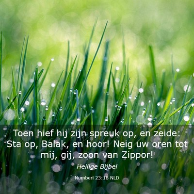 Picture 03 - Numberi 23:18 NLD - Toen hief hij zijn spreuk op, en zeide: Sta op, - Bible Verse Picture